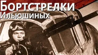 Только История: об эффективности бортстрелков Илов