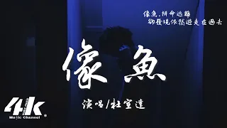 杜宣達 - 像魚『我要忘了你的樣子 像魚忘了海的味道，放下所有夢和煩惱 卻放不下回憶的乞討。』【高音質|動態歌詞Lyrics】♫ · 翻唱歌曲 (原唱:王貳浪)