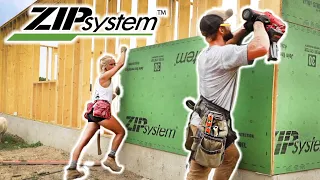 Installing Zip Board On Our Walls! | Building Our Own House #ep8