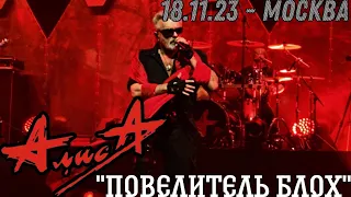 18.11.23 - АлисА - "Повелитель блох" - ХХХХ - Москва - ЦСКА Арена