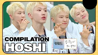 World best Tiger🐯 (but in my eyes, just look like hamster) SVT Hoshi compilation!