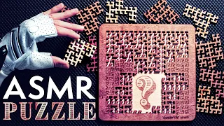 ASMR Solving this Satisfying WOODEN PUZZLE 😴No Talking for SLEEP