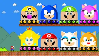 Can Mario Collect Ultimate All Character MARIO - SONIC Switch in Super Mario Bros.? | Game Animation