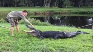 Worlds dumbest people getting bit and eaten alive by crocodiles and alligators video compilation