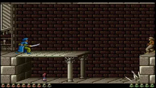 Prince of Persia (SNES). Wall Palace Level 9