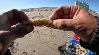 Pesca con nape o marucha en modo surfcasting en playa el faro , La Serena Chile