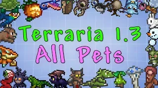 Terraria 1.3  - All Pets!