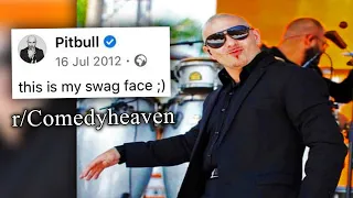 r/Comedyheaven | Pitbull moment