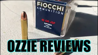 Fiocchi 40gr JSP 22 Magnum Accuracy Test