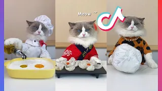 BEST THAT LITTLE PUFF TikTok Compilation #catsmakefood