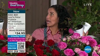 HSN | HSN Today with Tina & Ty - Garden Sale 03.17.2023 - 07 AM
