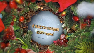 Поздравление с Новым годом 2019 022