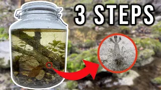 HOW TO Make An Ecosphere + What's Inside?