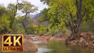 4K (Ultra HD) River Unforgettable Scenery | Virgin River, Zion National Park - Trailer