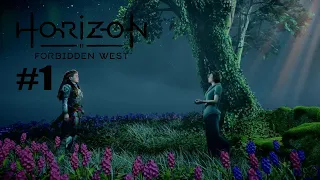 Horizon Forbidden West(Запретный Запад) на PS4 Pro[4K] ➤ #1