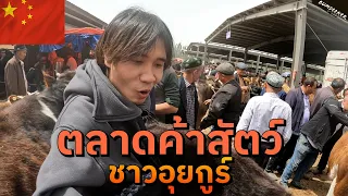 พเนจร EP6: เปิดโลกตลาดค้าสัตว์บนเส้นทางสายไหมจีน