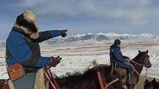 Кыргыз Тайганы, Карышкырга анчылык