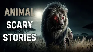 Three Scary Stories That Will Make You Change Your Mind About Animals