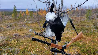 Teerenkuvastuksen alottelua