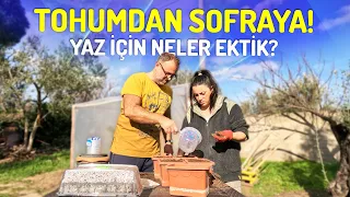 Tohumdan Sofraya - Organik Tarım Permakültür Tohum Ekimi (Yaz Sebzeleri)