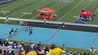 2023 IHSA State 1A final 110HH- Brady Larson