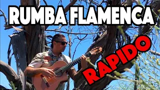 Pistolero - Ben Woods - Flamenco Guitar (Rumba Flamenca Rapido)