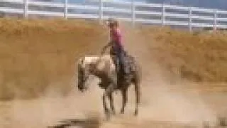 cowboys little spark palomino reining gelding
