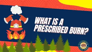 Fire Ecology - What is a Prescribed Burn?