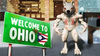 so i went to ohio in roblox again...