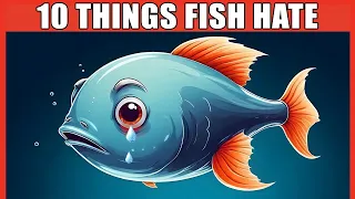18 Things Fish Keepers Should Never Do (Biggest Mistakes Fish Keepers Make)