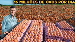 O BRASILEIRO QUE É O NOVO MAIOR PRODUTOR DE OVOS DO MUNDO