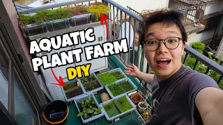My DIY AQUATIC PLANT FARM!!