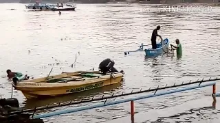 Fishing in Marikina river during 15 meters water level 8-13-2018