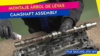 💡 Camshaft replace | Cambiar árbol de levas - FIAT DUCATO JTD 16V