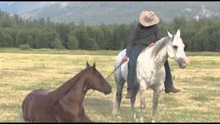 Amazing Horsemanship with Jonathan Field - Road to the Horse Sizzle