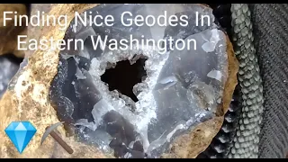 Finding Nice Geodes In Eastern Washington