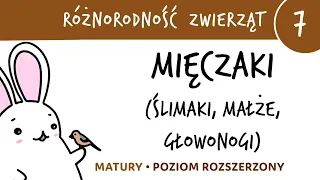 Różnorodność zwierząt 7 - Mięczaki (ślimaki, małże, głowonogi) - matura z biologii rozszerzona