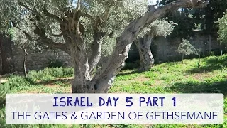 Israel Day 5 | Part 1 | The Gate and Garden of Gethsemane
