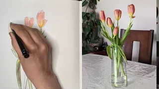 How to create quick sketches of flowers and landscapes- Nature Sketching