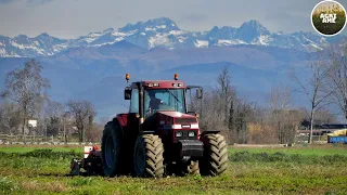 Discatura terreno | Case IH Magnum 7230 + Agro-Masz 3 metri | Azienda Agricola Mazzetti