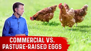 Commercial Eggs vs. Pasture-Raised Eggs – Dr.Berg