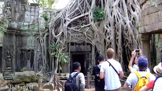 PSVR 3D "TOMB RAIDER" TEMPLE Siem Reap, Cambodia