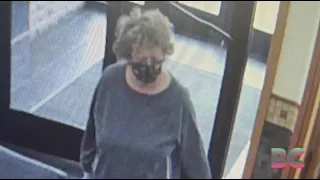 Ohio woman, 74, arrested in armed robbery of credit union was a victim of a scam