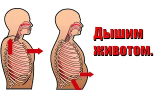Как осваивать диафрагмальное дыхание.Дыхательные упражнения.Техника дыхания.