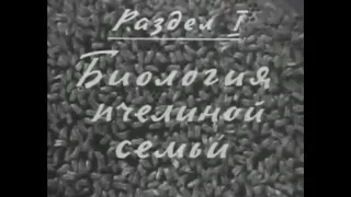 Биология пчелиной семьи  Фильм СССР. Пчеловодство -Учебный Курс.-