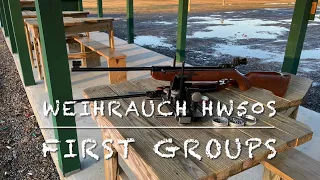 Weihrauch HW50S .177 break barrel pellet rifle first groups at 25 yards
