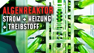 Algenkraftwerk: Strom, Heizung, Treibstoff UND Nahrungsmittel der Zukunft! | Breaking Lab