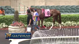 Gulfstream Park Replay Show | August 24,, 2016