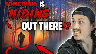 5 STRANGEST disappearances in forests | The Missing 411 phenomenon