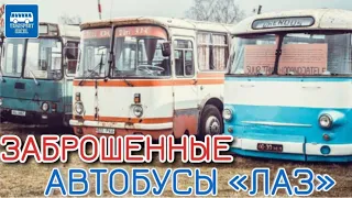 Заброшенные автобусы ЛАЗ | 1 часть